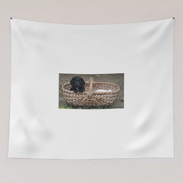 Item preview, Take Me Home designed and sold by clint hudson.