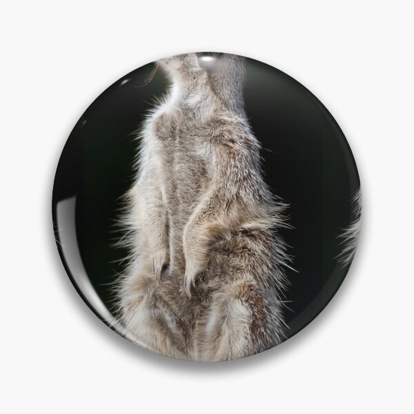 Item preview, Three Meerkats designed and sold by clint hudson.