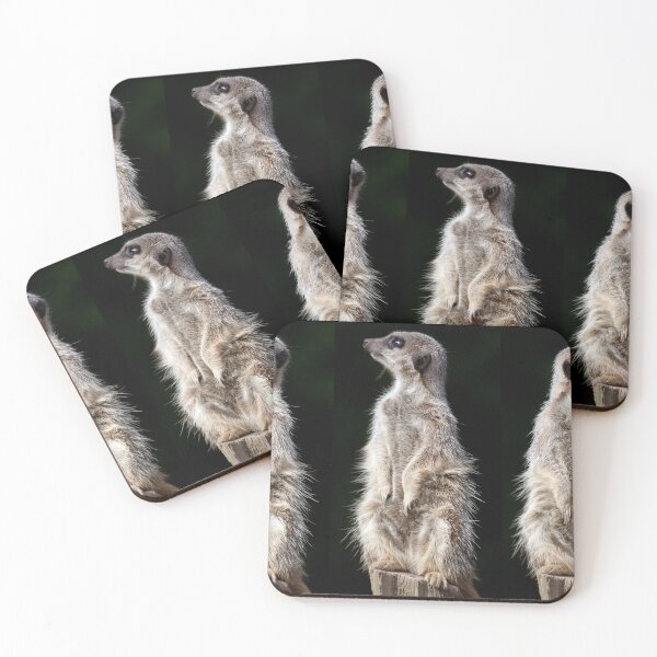 Item preview, Three Meerkats designed and sold by clint hudson.