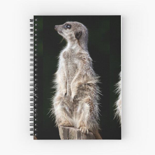 Item preview, Three Meerkats designed and sold by clint hudson.