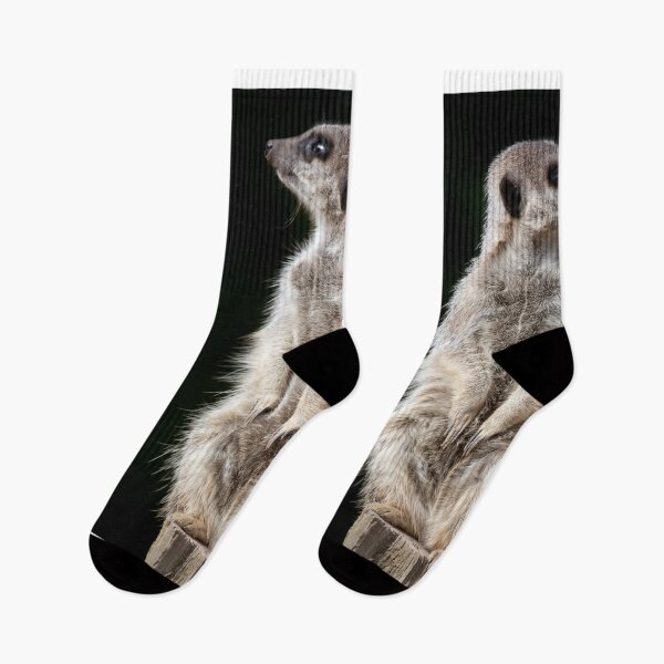 Item preview, Three Meerkats designed and sold by clint hudson.