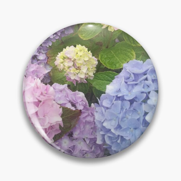 Item preview, Photograph of multicoloured hydrangea blossoms  designed and sold by esvb.
