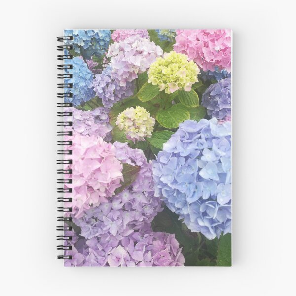 Item preview, Photograph of multicoloured hydrangea blossoms  designed and sold by esvb.