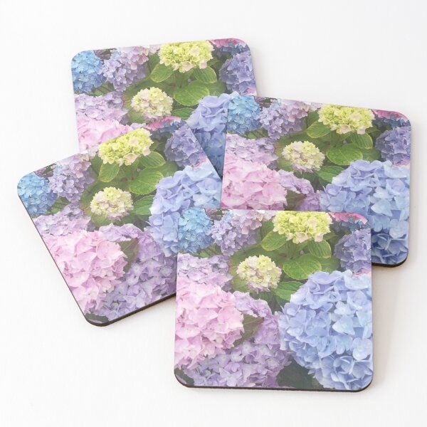 Item preview, Photograph of multicoloured hydrangea blossoms  designed and sold by esvb.