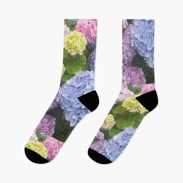 Item preview, Photograph of multicoloured hydrangea blossoms  designed and sold by esvb.