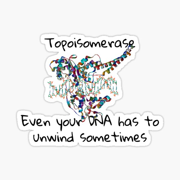 Topoisomerase Sticker