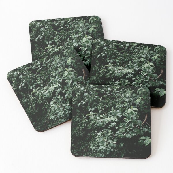 Item preview, Photo of a tree in nature designed and sold by rrroza.