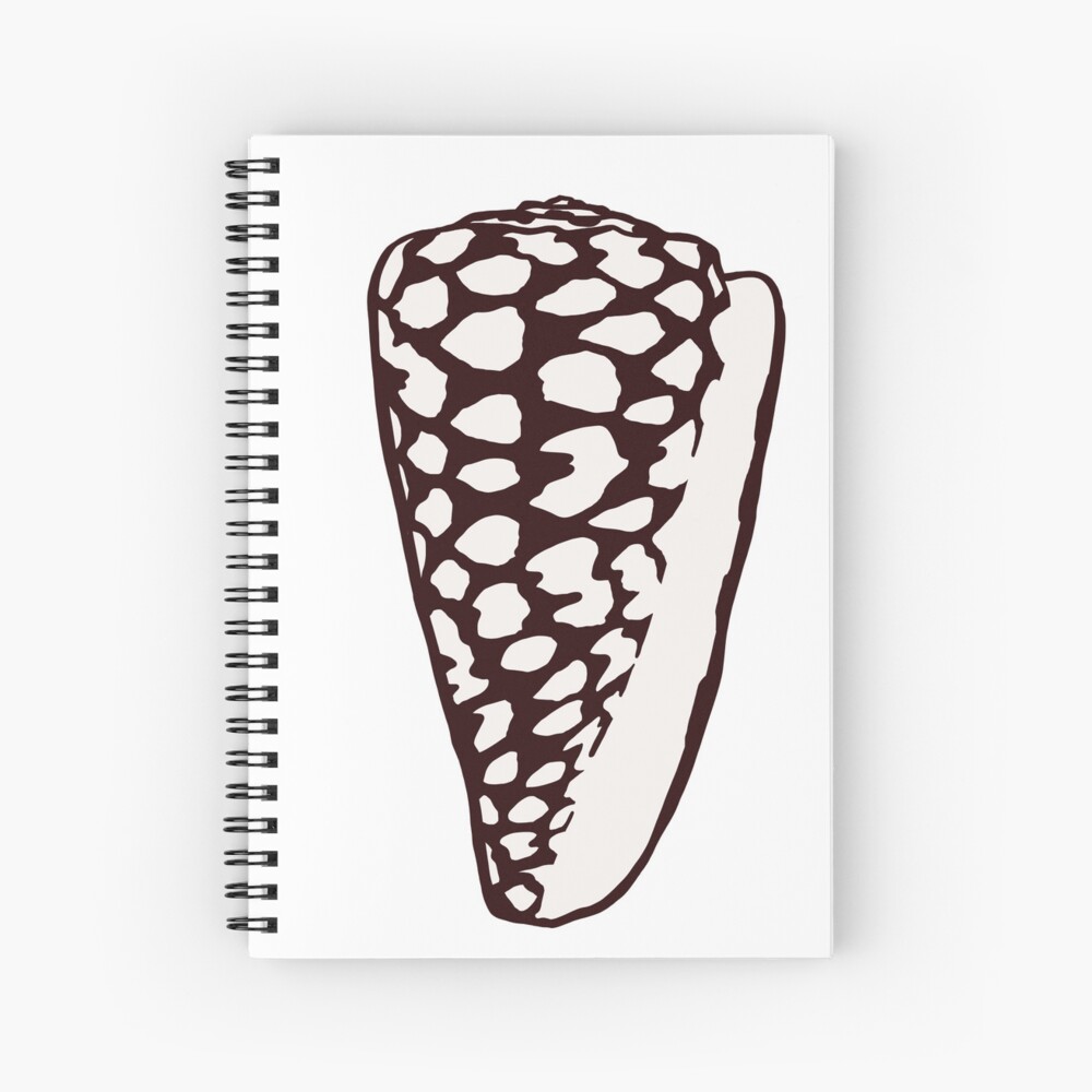 Lettered Cone Shell Art Print