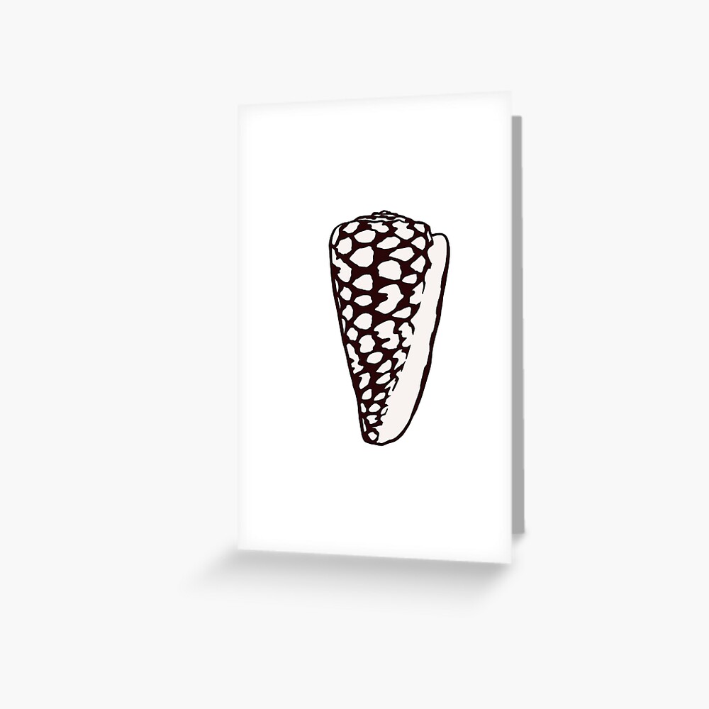 Lettered Cone Shell Art Print