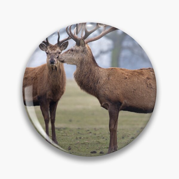 Item preview, Two Red Deer Stags designed and sold by clint hudson.