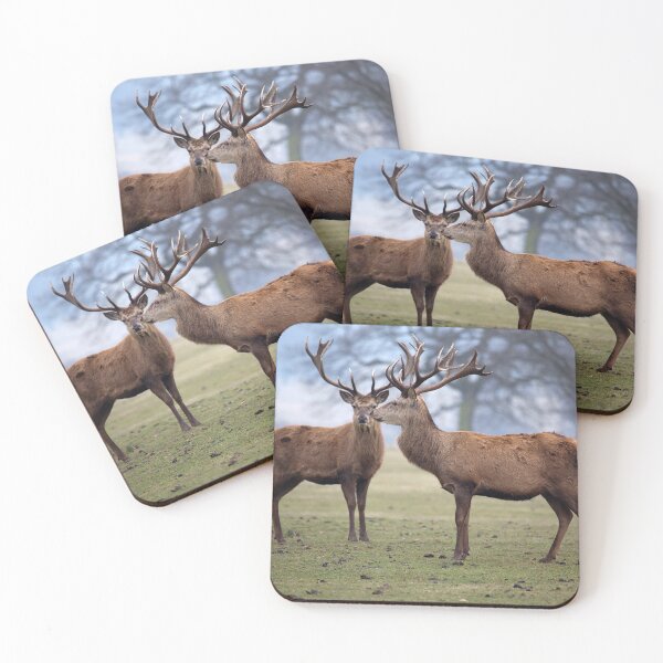 Item preview, Two Red Deer Stags designed and sold by clint hudson.