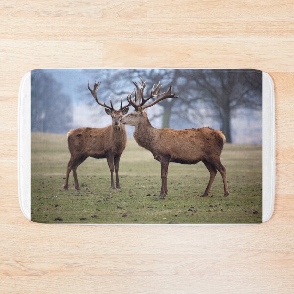Item preview, Two Red Deer Stags designed and sold by clint hudson.