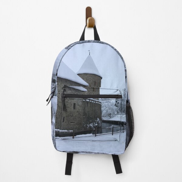 Item preview, Hallwyl Castle Switzerland designed and sold by nikawanders.
