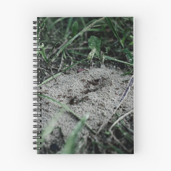 Item preview, anthill designed and sold by rrroza.