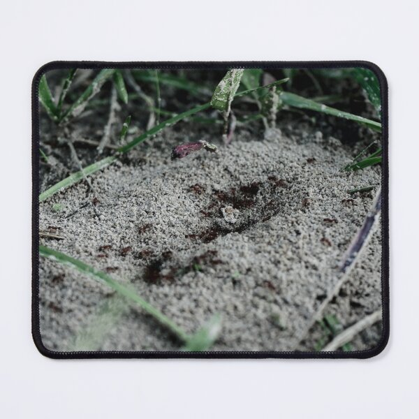 Item preview, anthill designed and sold by rrroza.