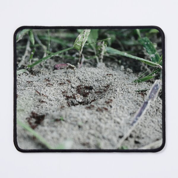 Item preview, anthill designed and sold by rrroza.