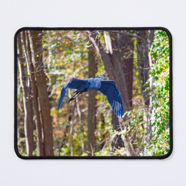 Item preview, True Blue Revealed designed and sold by ShorelineImages.