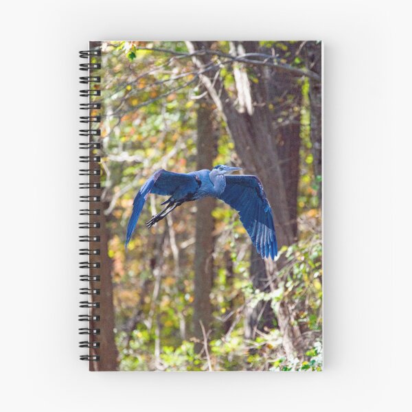 Item preview, True Blue Revealed designed and sold by ShorelineImages.
