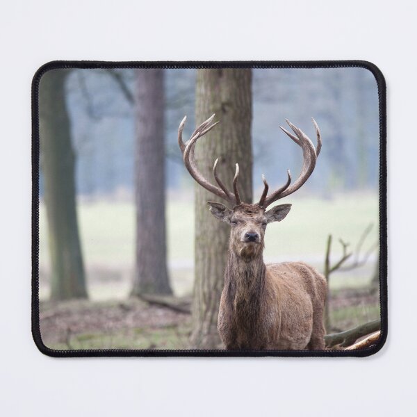 Item preview, Eye To Eye designed and sold by clint hudson.