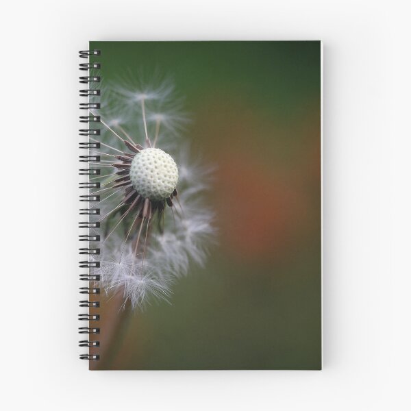 Item preview, Dandelion seed head designed and sold by clint hudson.