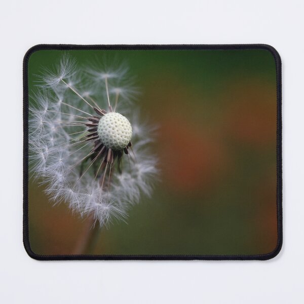 Item preview, Dandelion seed head designed and sold by clint hudson.
