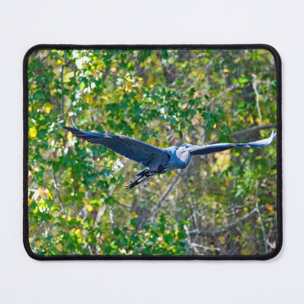 Item preview, Zero Gravity designed and sold by ShorelineImages.