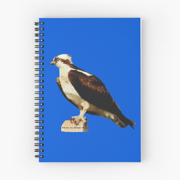 Item preview, An Attentive Osprey designed and sold by KaycysCreations.