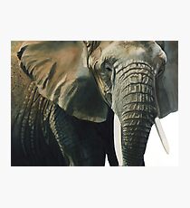 "Elephant" Wildlife Animal Watercolor Photographic Print