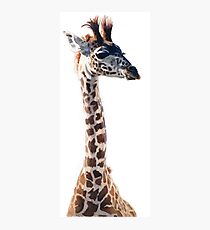 "Little Giraffe" Wildlife Animal Watercolor Photographic Print
