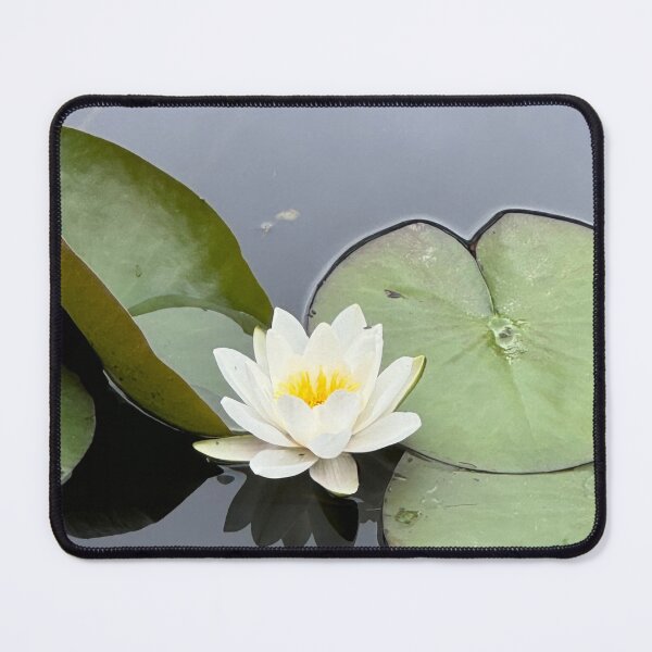 Item preview, Water Lily designed and sold by Karen Hairston.
