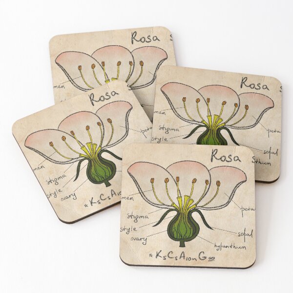 Item preview, Rosa sp.  designed and sold by Erigeron-acris.