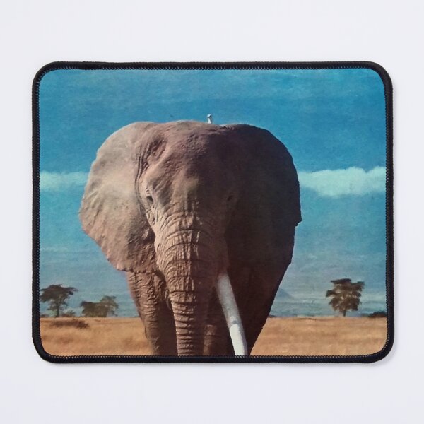 Item preview, African elephant and Kilimanjaro mount designed and sold by arkitekta.