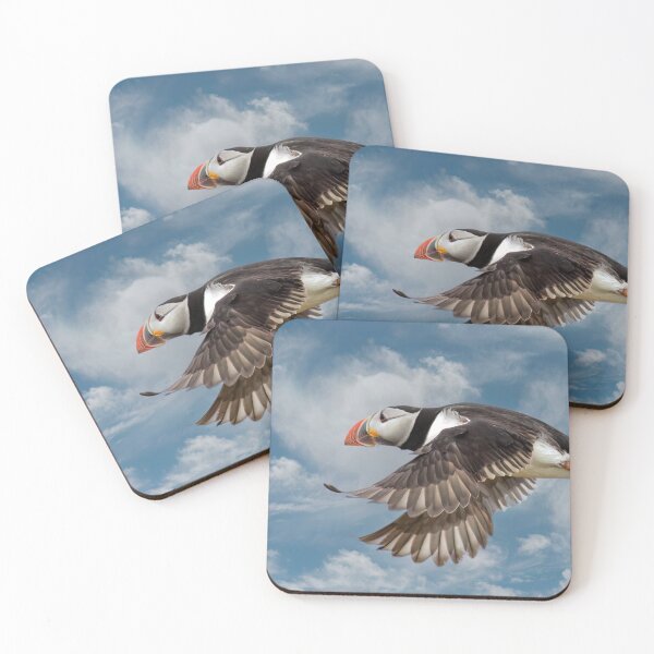 Item preview, Puffin in Flight designed and sold by Tom McPherson Photography.