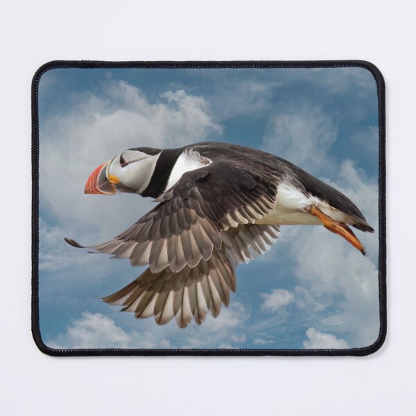 Item preview, Puffin in Flight designed and sold by Tom McPherson Photography.