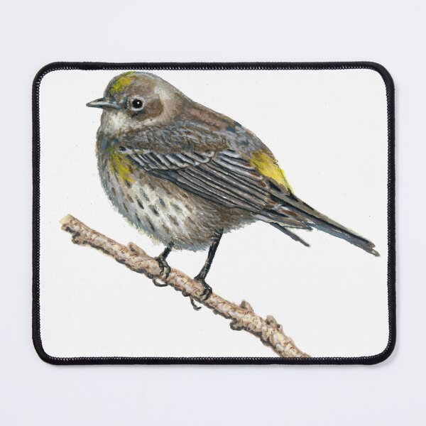 Item preview, Yellow Rumped Warbler designed and sold by Laeton Designs.