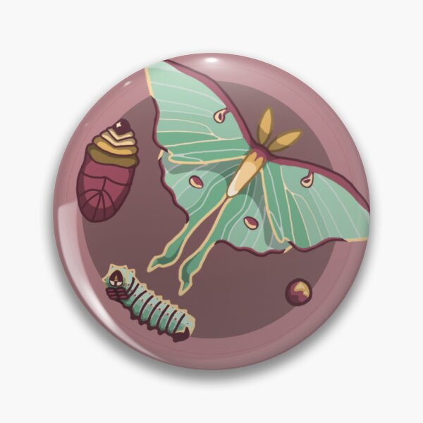 Item preview, Luna Moth Life Cycle designed and sold by Izzy-Art-Crafts.