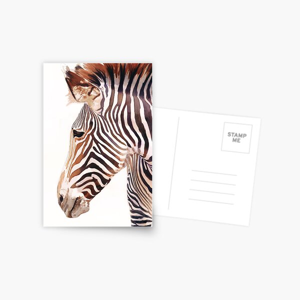 "Zebra Bust" Zebra Wildlife Watercolor Postcard