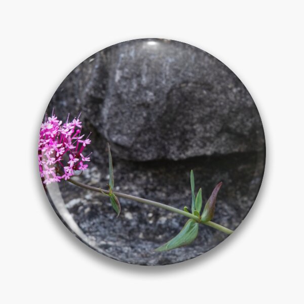 Item preview, Red valerian flowers designed and sold by jasminewang.