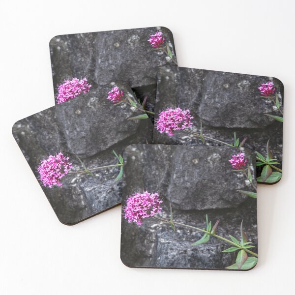 Item preview, Red valerian flowers designed and sold by jasminewang.