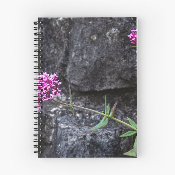 Item preview, Red valerian flowers designed and sold by jasminewang.