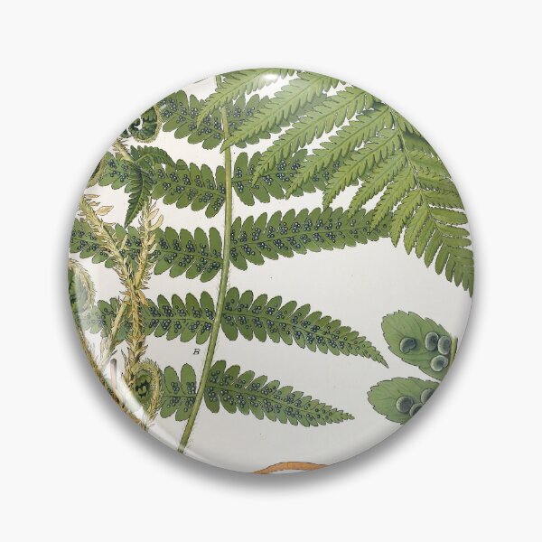 Item preview, Fern, Botanical Print, Dryopteris Filix-Mas,Green Fern Poster designed and sold by Artistic Gift Print.