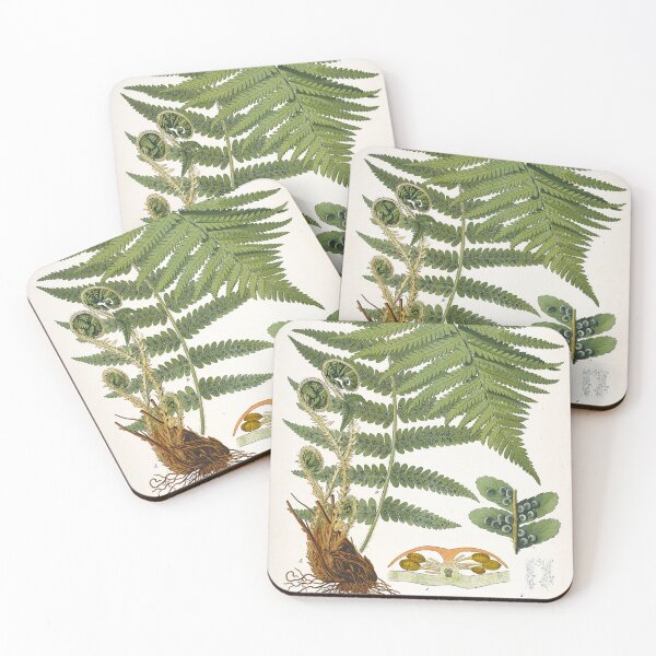 Item preview, Fern, Botanical Print, Dryopteris Filix-Mas,Green Fern Poster designed and sold by Artistic Gift Print.