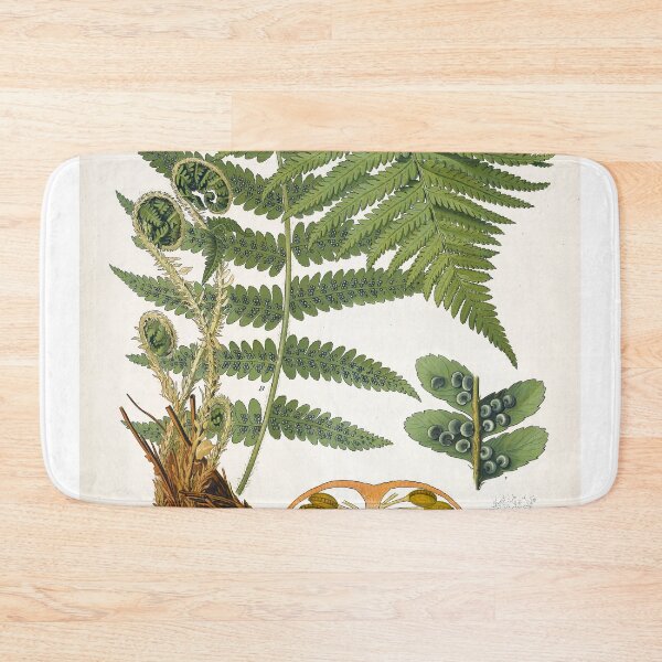 Item preview, Fern, Botanical Print, Dryopteris Filix-Mas,Green Fern Poster designed and sold by Artistic Gift Print.