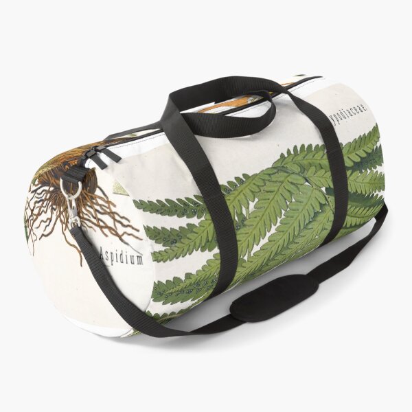 Item preview, Fern, Botanical Print, Dryopteris Filix-Mas,Green Fern Poster designed and sold by Artistic Gift Print.