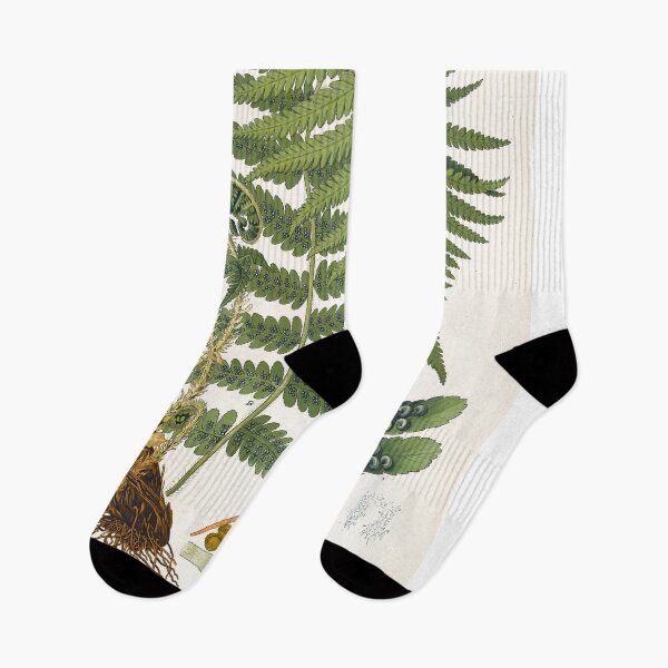 Item preview, Fern, Botanical Print, Dryopteris Filix-Mas,Green Fern Poster designed and sold by Artistic Gift Print.