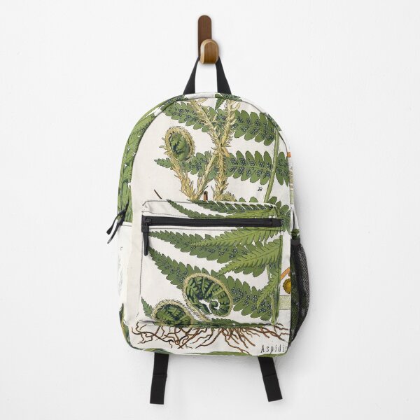 Item preview, Fern, Botanical Print, Dryopteris Filix-Mas,Green Fern Poster designed and sold by Artistic Gift Print.