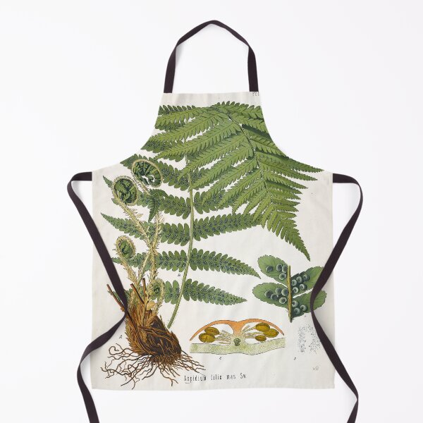 Item preview, Fern, Botanical Print, Dryopteris Filix-Mas,Green Fern Poster designed and sold by Artistic Gift Print.