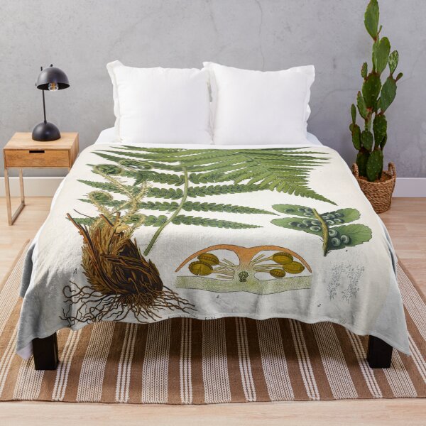 Item preview, Fern, Botanical Print, Dryopteris Filix-Mas,Green Fern Poster designed and sold by Artistic Gift Print.