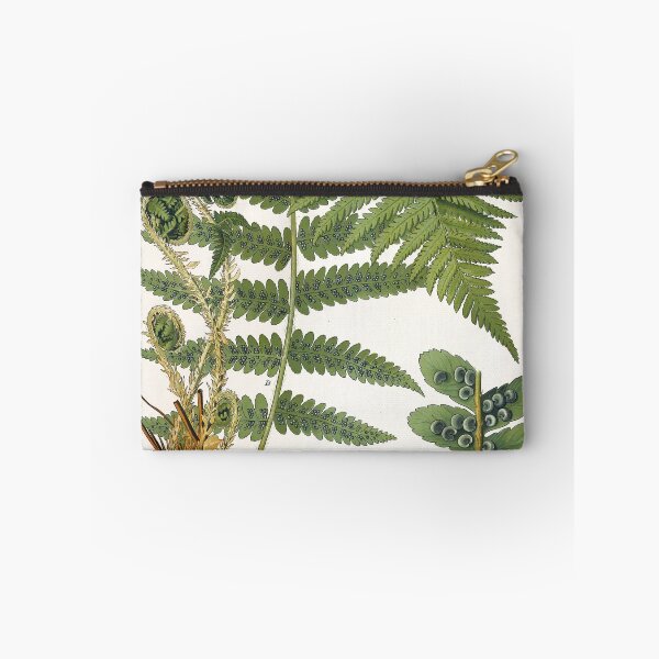 Item preview, Fern, Botanical Print, Dryopteris Filix-Mas,Green Fern Poster designed and sold by Artistic Gift Print.