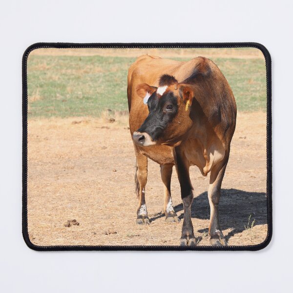 Item preview, Cow standing in field designed and sold by myequineartwork.